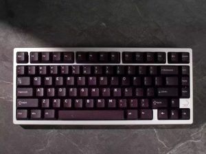 Purple Vior Keycaps