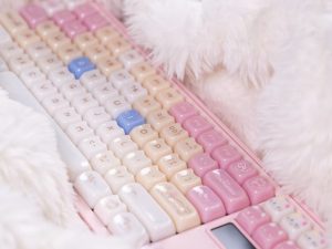 Ragdoll Cat Keycaps